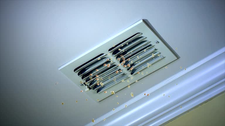 Best Ventilation Cleaning Services  in Mount Repose, OH